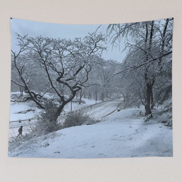 Item preview, New York City snow day (Central Park) Pt1 designed and sold by NYConlineStore.