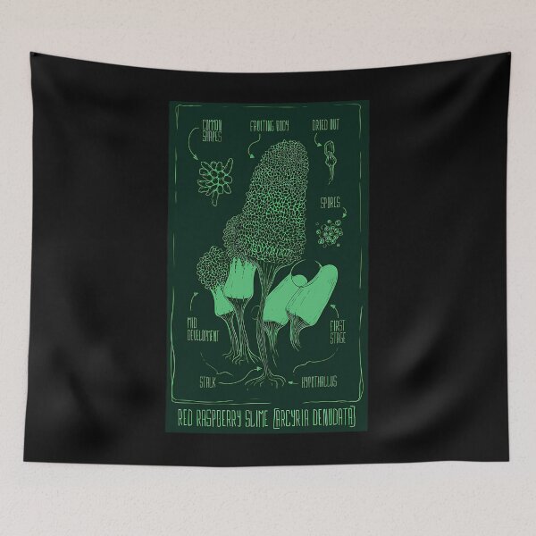 Item preview, Raspberry Slime Fungi Cute Weird designed and sold by mbaeriszake.