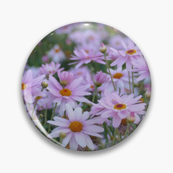 Item preview, Delicate pink daisies with bright orange centres designed and sold by jaynerushton.