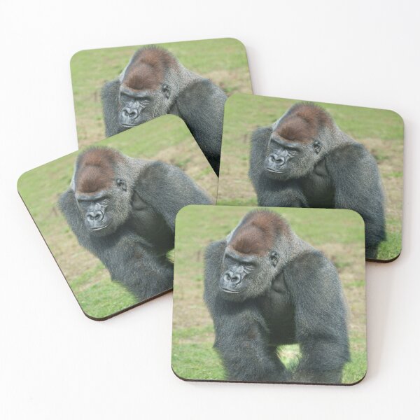Item preview, Gorilla Language of Strength designed and sold by rawshutterbug.