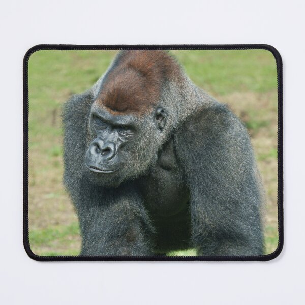 Item preview, Gorilla Language of Strength designed and sold by rawshutterbug.
