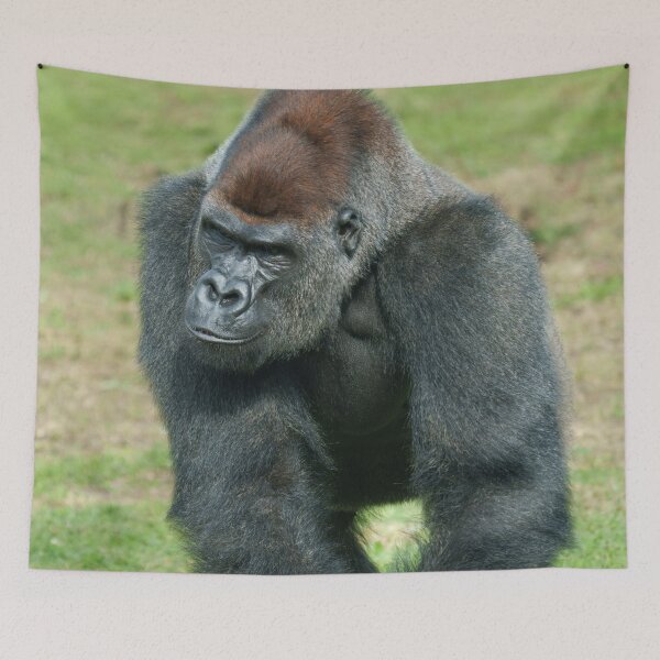 Item preview, Gorilla Language of Strength designed and sold by rawshutterbug.