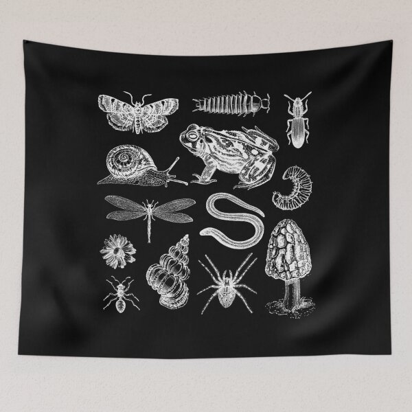 Item preview, Vintage Biology Collage Frog Snail Moth Mushroom designed and sold by dilnavergerr.