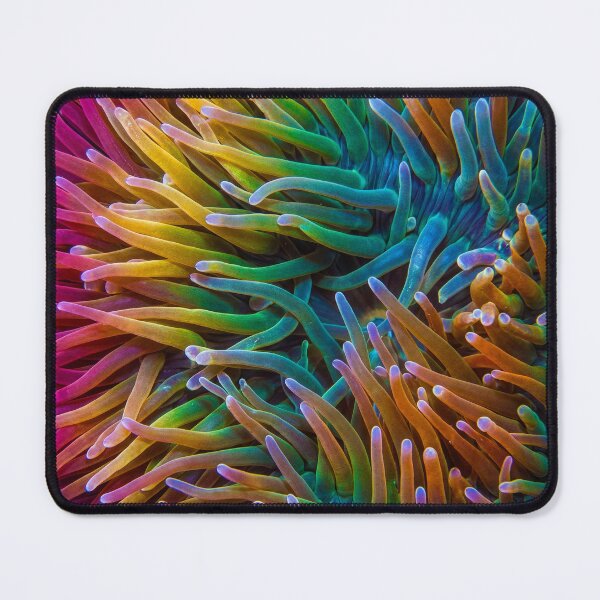 Item preview, Sea Anemone Abstract designed and sold by Tridentulus.