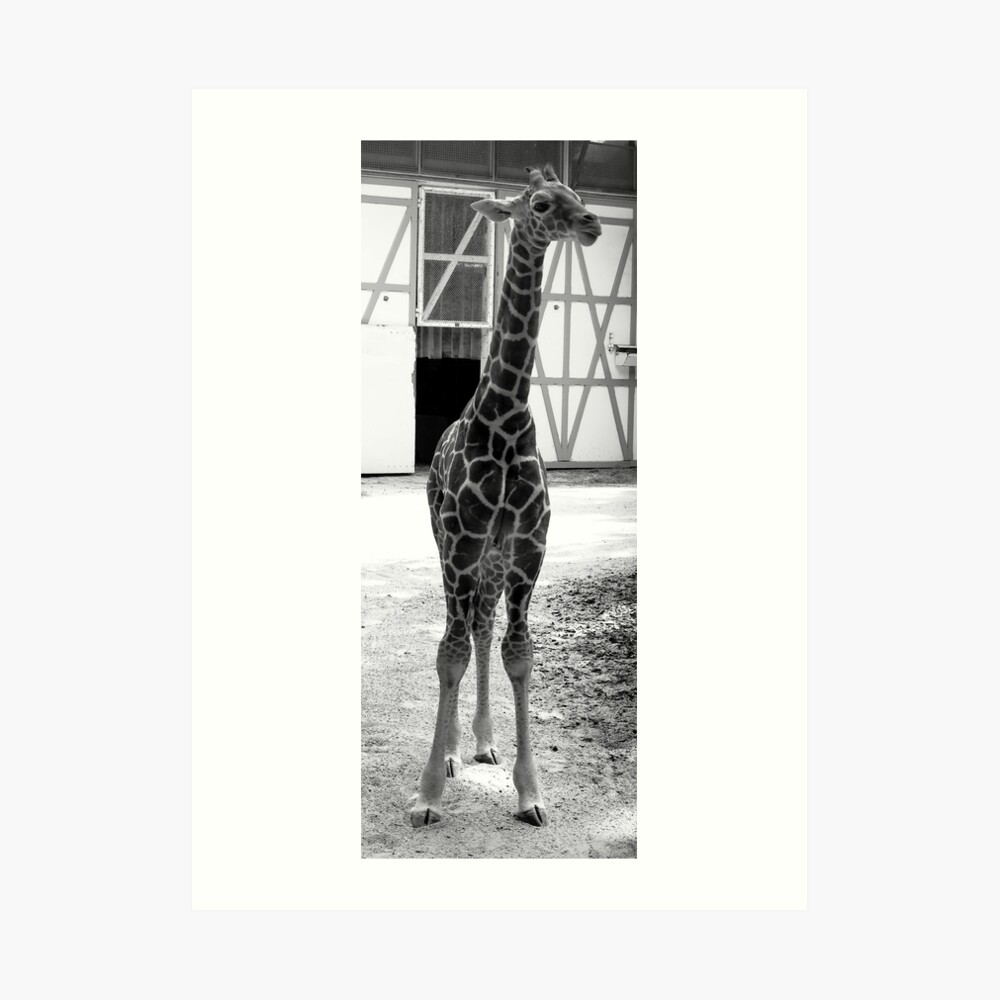 Hi, I am Niek Art Print