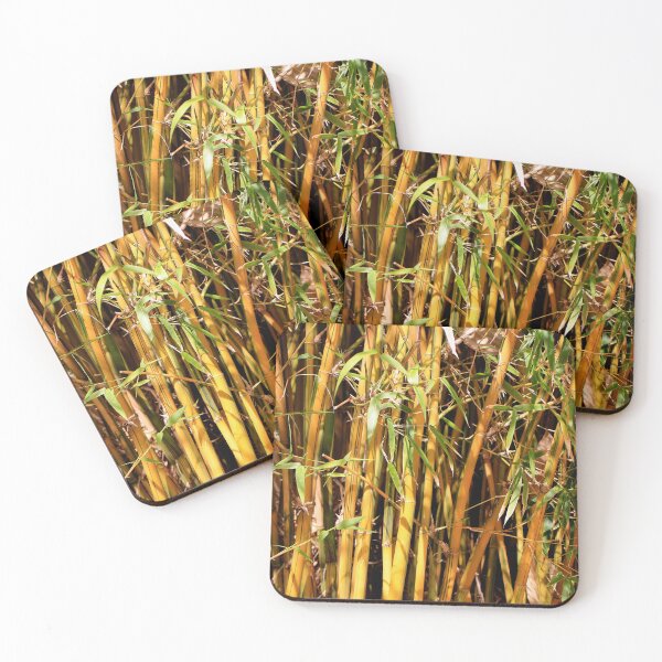 Item preview, Bamboos growing in the garden as screening designed and sold by FranWest.