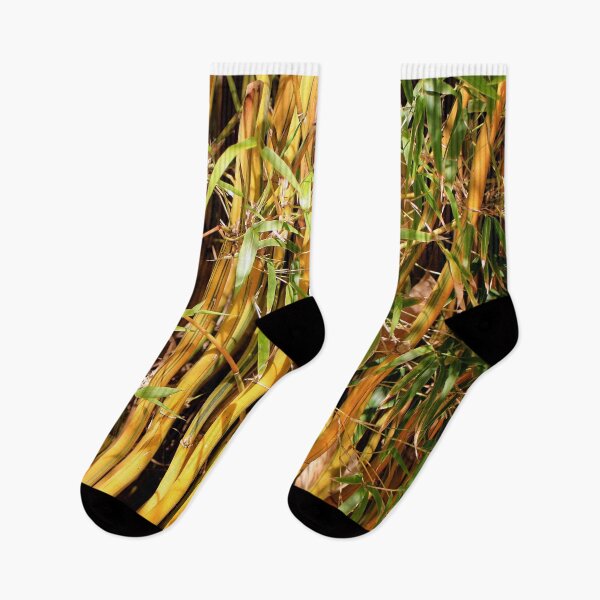 Item preview, Bamboos growing in the garden as screening designed and sold by FranWest.