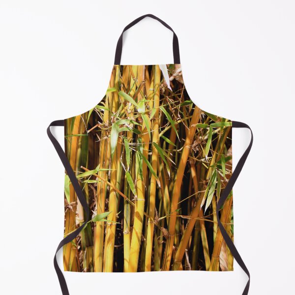 Item preview, Bamboos growing in the garden as screening designed and sold by FranWest.