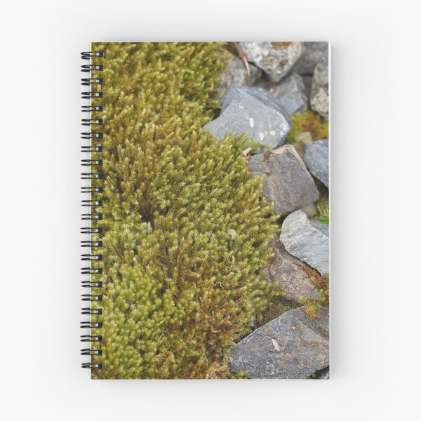 Item preview, Rocks and Plant designed and sold by trinest.