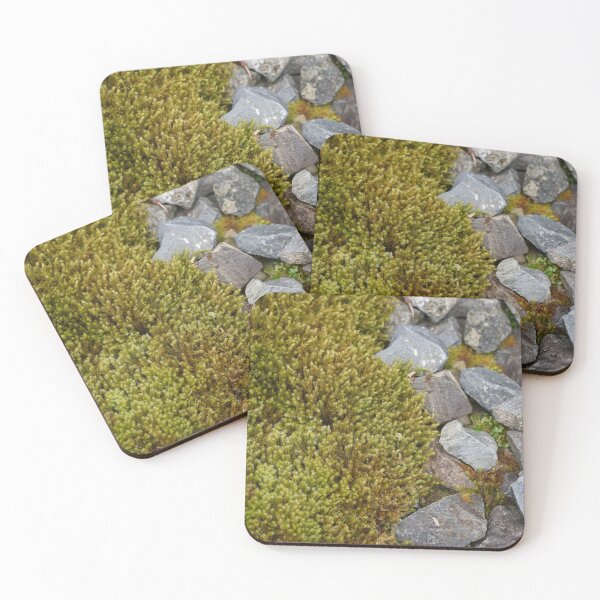 Item preview, Rocks and Plant designed and sold by trinest.
