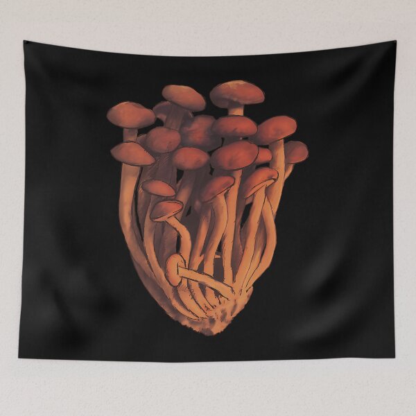 Item preview, Pioppini Mushroom Mycology Illustration designed and sold by shapbeglyl.