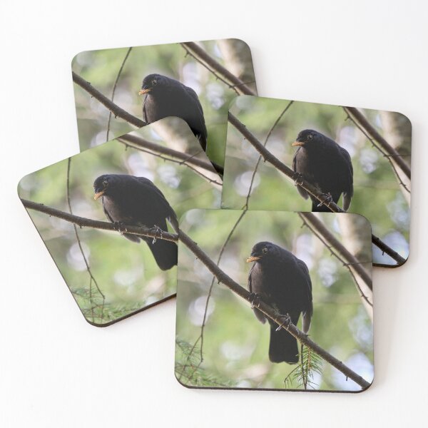 Item preview, Douptful. Blackbird designed and sold by Jouko Lehto Photography.