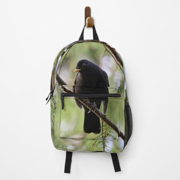 Item preview, Douptful. Blackbird designed and sold by Jouko Lehto Photography.