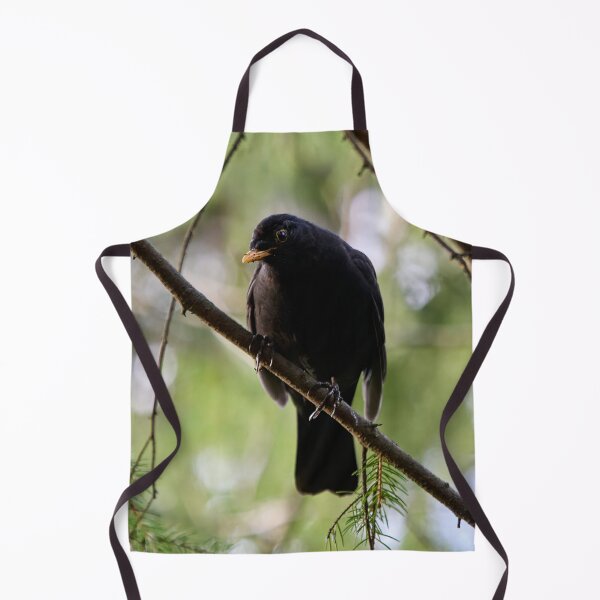 Item preview, Douptful. Blackbird designed and sold by Jouko Lehto Photography.