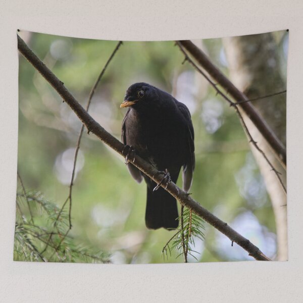 Item preview, Douptful. Blackbird designed and sold by Jouko Lehto Photography.