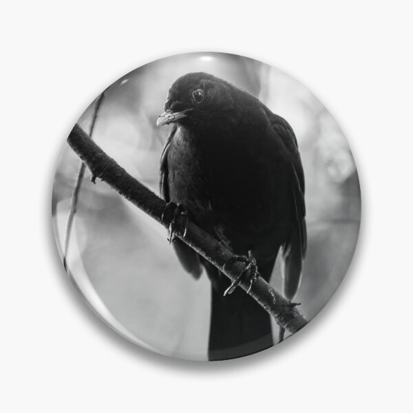 Item preview, Douptful. Blackbird bw designed and sold by Jouko Lehto Photography.