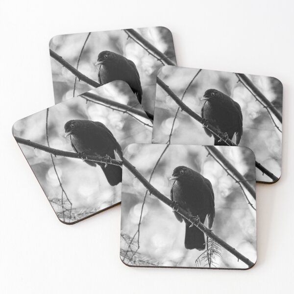 Item preview, Douptful. Blackbird bw designed and sold by Jouko Lehto Photography.