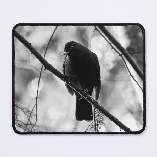 Item preview, Douptful. Blackbird bw designed and sold by Jouko Lehto Photography.