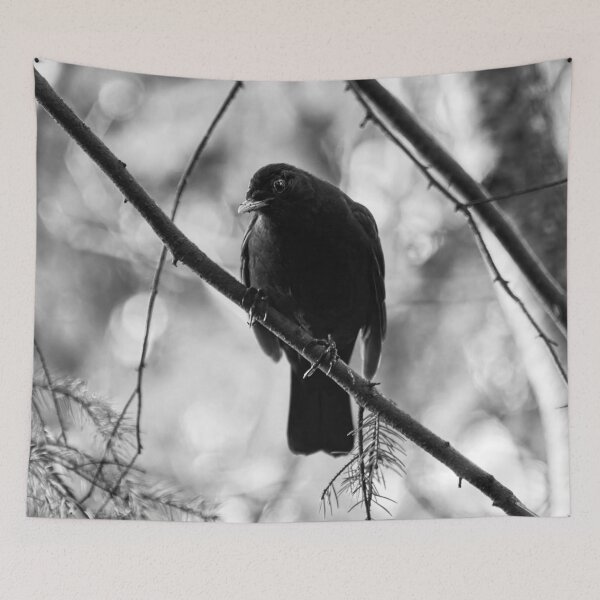 Item preview, Douptful. Blackbird bw designed and sold by Jouko Lehto Photography.