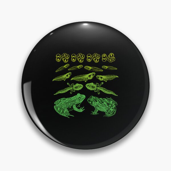 Item preview, Vintage Frog Tadpole Life Cycle Goblincore designed and sold by liyauqammarj.