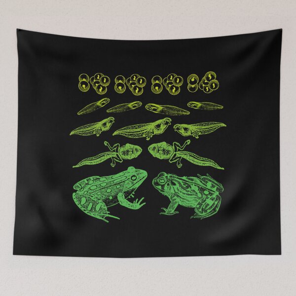 Item preview, Vintage Frog Tadpole Life Cycle Goblincore designed and sold by liyauqammarj.