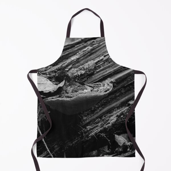 Item preview, Fall. Willow bracket 2025 bw designed and sold by Jouko Lehto Photography.