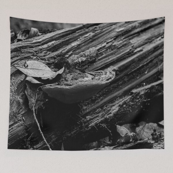 Item preview, Fall. Willow bracket 2025 bw designed and sold by Jouko Lehto Photography.