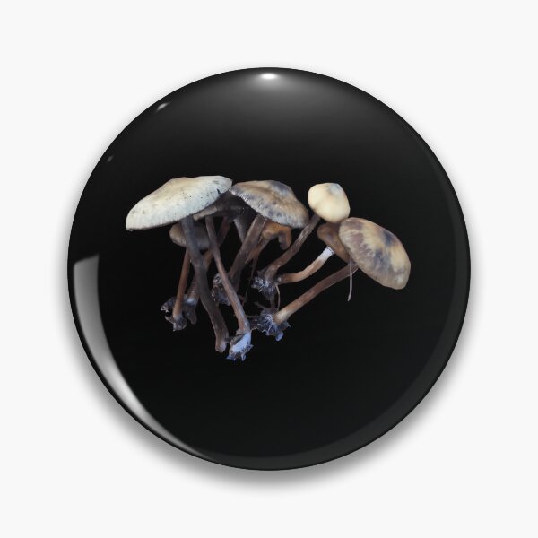 Item preview, Psilocybe subaeruginosa Mycology Design designed and sold by liyauqammarj.