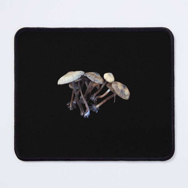 Item preview, Psilocybe subaeruginosa Mycology Design designed and sold by liyauqammarj.