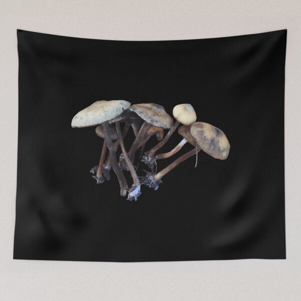Item preview, Psilocybe subaeruginosa Mycology Design designed and sold by liyauqammarj.