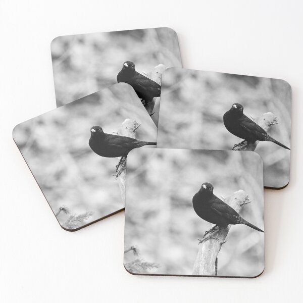 Item preview, Minimalistic. Blackbird bw designed and sold by Jouko Lehto Photography.