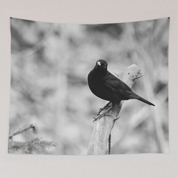 Item preview, Minimalistic. Blackbird bw designed and sold by Jouko Lehto Photography.