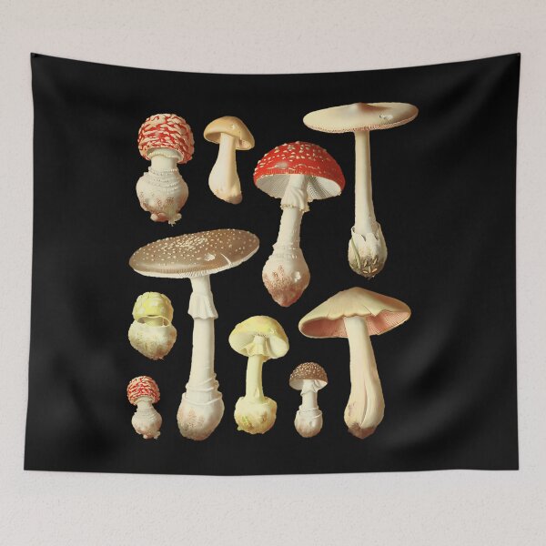 Item preview, Cottagecore Vintage Mycology Mushrooms designed and sold by nipunifekniy.