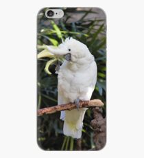A Friendly Sulfur-Crested Cockatoo Salutes the Photographer iPhone Case
