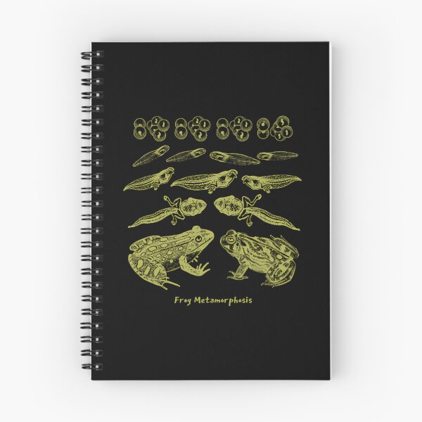 Item preview, Frog Life Cycle Vintage Metamorphosis Diagram designed and sold by dyrkaqalibe1.