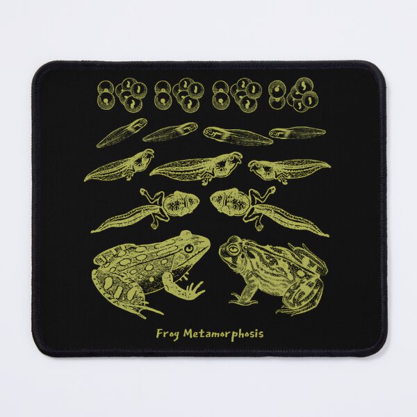 Item preview, Frog Life Cycle Vintage Metamorphosis Diagram designed and sold by dyrkaqalibe1.