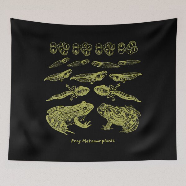 Item preview, Frog Life Cycle Vintage Metamorphosis Diagram designed and sold by dyrkaqalibe1.