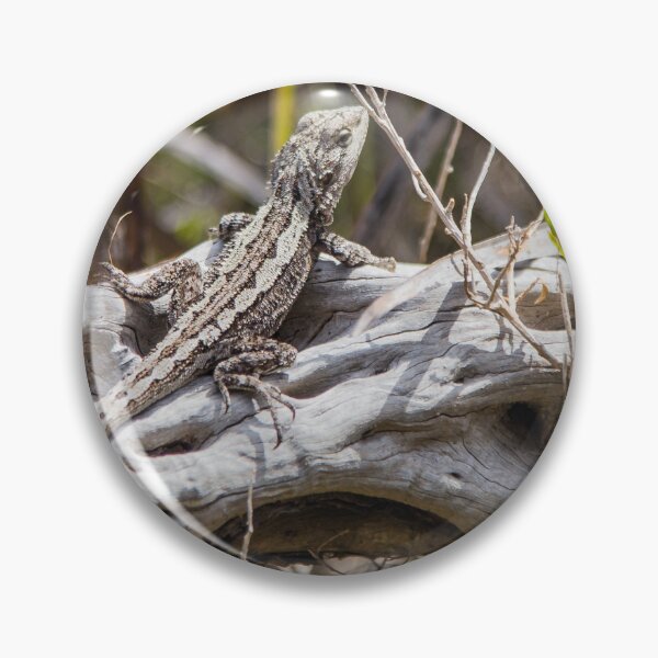Item preview, Sunlit Peninsula Lizard Moment designed and sold by shaynetwright.