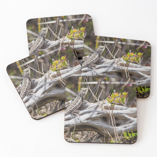 Item preview, Sunlit Peninsula Lizard Moment designed and sold by shaynetwright.