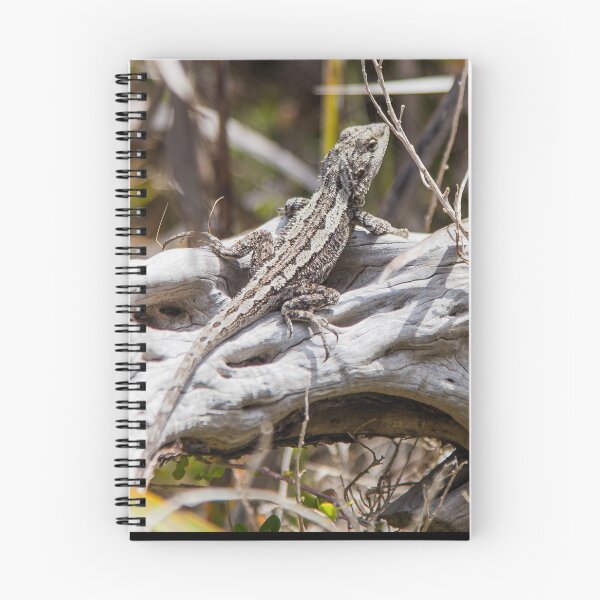 Item preview, Sunlit Peninsula Lizard Moment designed and sold by shaynetwright.