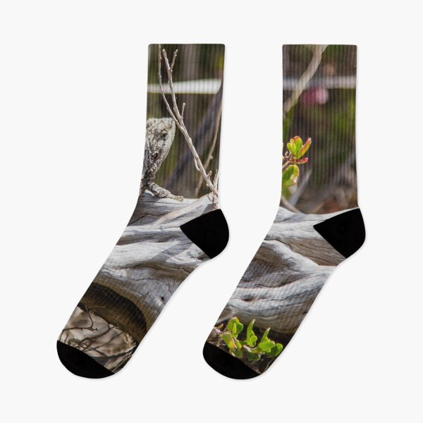 Item preview, Sunlit Peninsula Lizard Moment designed and sold by shaynetwright.