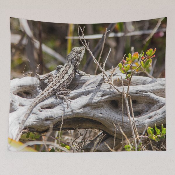 Item preview, Sunlit Peninsula Lizard Moment designed and sold by shaynetwright.