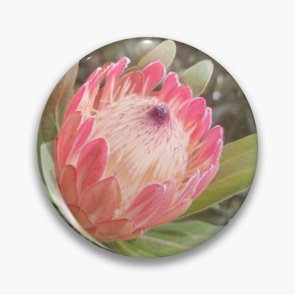 Item preview, Beauty in nature  designed and sold by BoxallsPrints.