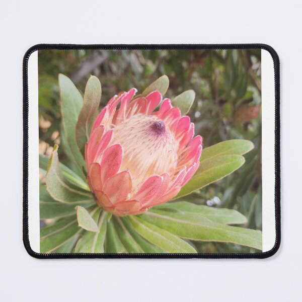 Item preview, Beauty in nature  designed and sold by BoxallsPrints.
