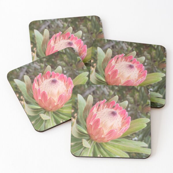 Item preview, Beauty in nature  designed and sold by BoxallsPrints.