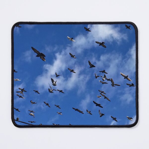 Item preview, Flight Pattern designed and sold by aeolia.