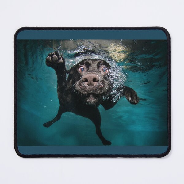 Item preview, Labrador Caught Red-Handed Underwater – Funny and Dramatic designed and sold by Design4AllThings.