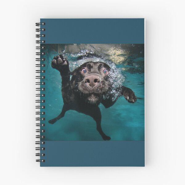 Item preview, Labrador Caught Red-Handed Underwater – Funny and Dramatic designed and sold by Design4AllThings.