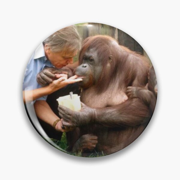 Item preview, David Attenborough Orangutan  designed and sold by FreeOrca.