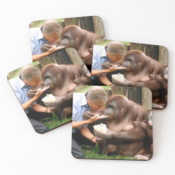 Item preview, David Attenborough Orangutan  designed and sold by FreeOrca.